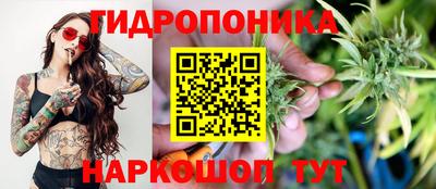 мдпв Рузаевка